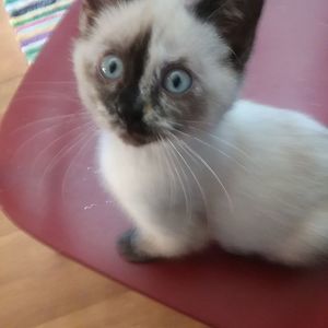 Meet your Posher, Cassandra